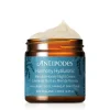 Antipodes Harmony Hyaluronic Manuka Honey Night Cream yövoide 60 ml
