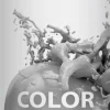 Biozell Color Tech Sävyttävä shampoo 200ml Silver