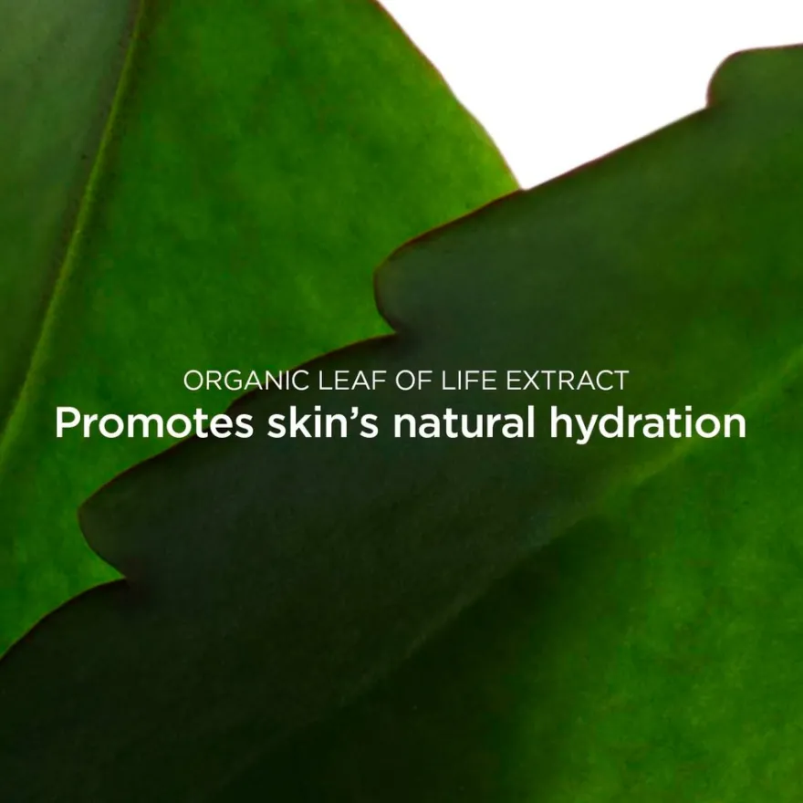 Clarins Fresh Scrub kasvokuorinta 50ml