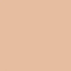 DIOR Backstage Face & Body Flash Perfector Concealer peitevoide 11 ml