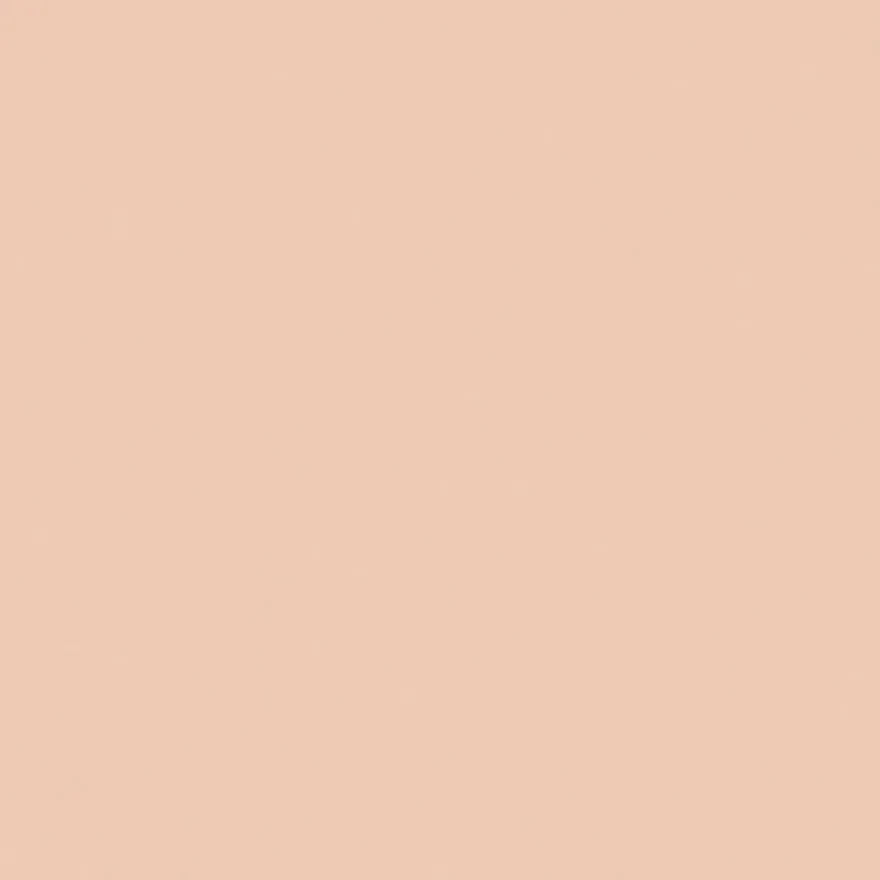 DIOR Backstage Face & Body Flash Perfector Concealer peitevoide 11 ml