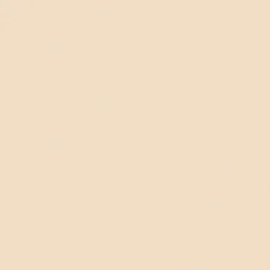 DIOR Backstage Face & Body Flash Perfector Concealer peitevoide 11 ml