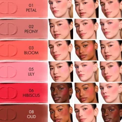 DIOR Dior Forever Blush Soft Filter Whipped Liquid Blush - Radiant Matte Finish poskipuna 11 ml