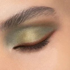 DIOR Diorshow 5 Couleurs Eye Palette