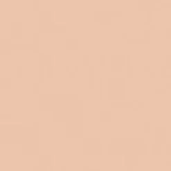 DIOR Diorskin forever cushion poudre irtopuuteri 10g