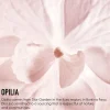 DIOR Dreamskin 1-Minute Mask kasvonaamio 75 ml