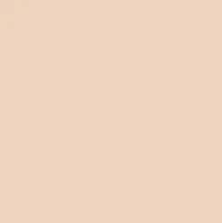 DIOR Forever Skin Perfect Multi-Use Foundation Stick meikkivoidepuikko 10 g