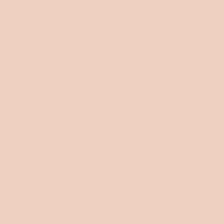 DIOR Forever Skin Perfect Multi-Use Foundation Stick meikkivoidepuikko 10 g