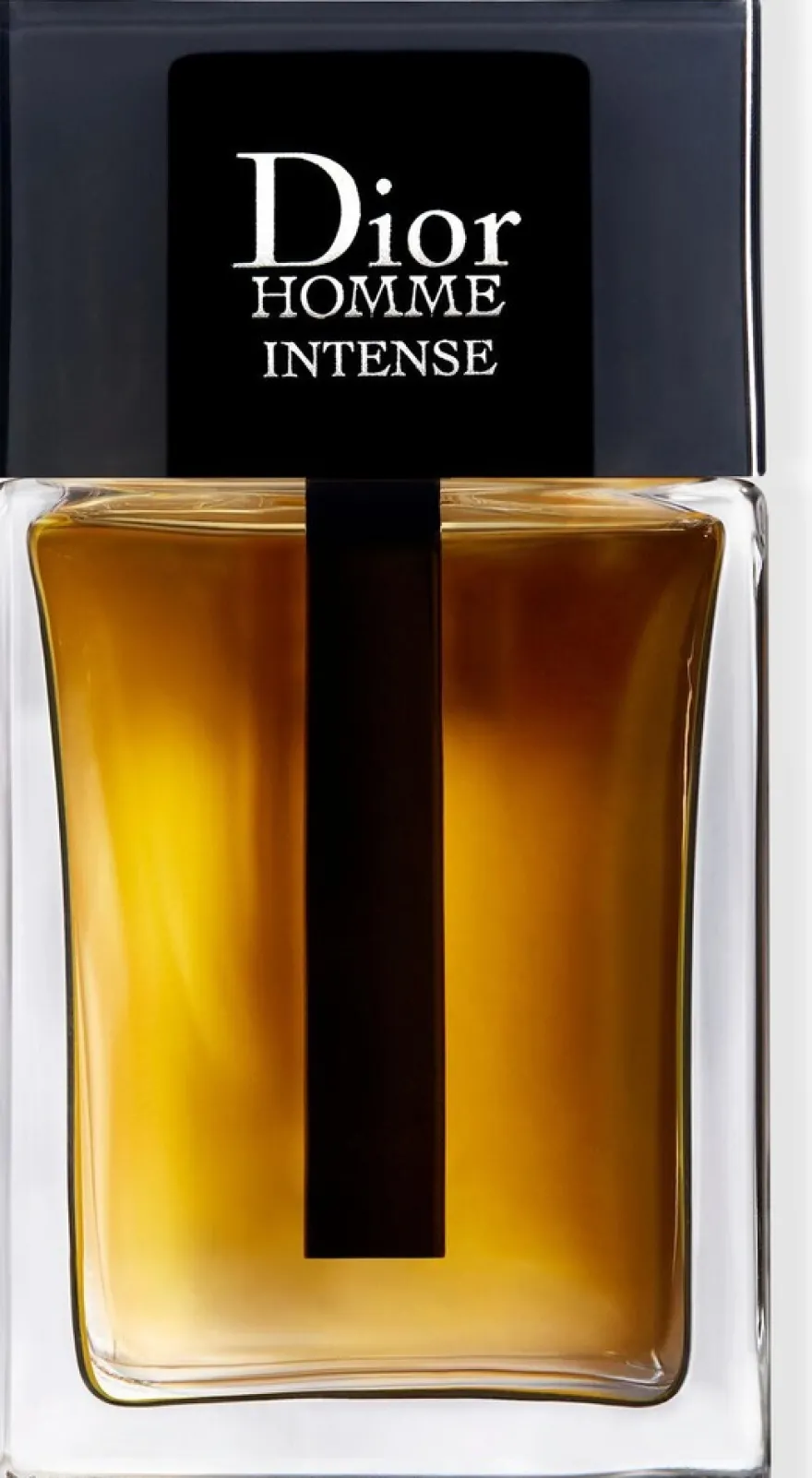 DIOR Homme Intense EdP intense tuoksu 100 ml