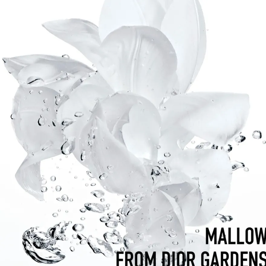 DIOR Hydra Life Fresh Sorbet Creme kasvovoide 50 ml