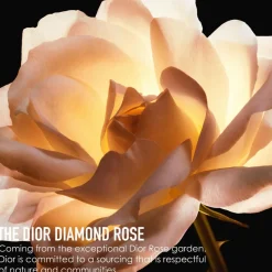 DIOR Prestige La Crème Texture Riche kasvovoide 50 ml