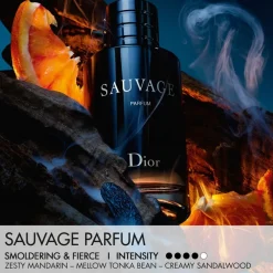 Dior Sauvage Spray For The Wild Parfum Limited Edition Bottle and Case 30 ml tuoksu + kotelo