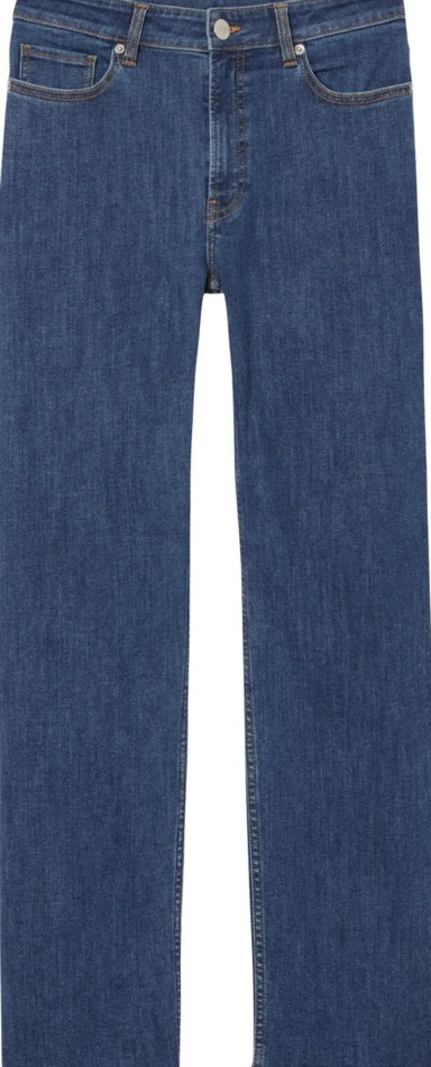 DNM7 DNM1 farkut STRETCH