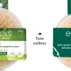 Ecotools Dry Brush Kuivaharja