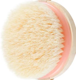 Ecotools Dry Brush Kuivaharja