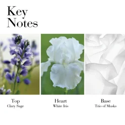 Elizabeth Arden White Tea EdT tuoksu 50 ml