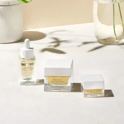 Elizabeth Arden White Tea Skin Replenishing Gel Cream geelimäinen kosteusvoide 50 ml