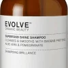 Evolve Organic Beauty Superfood Shine Shampoo 250ml