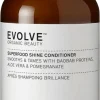 Evolve Organic Beauty Superfood Shine Conditioner Hoitoaine 250ml