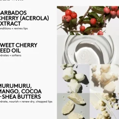Fenty Skin Barbados Cherry Rocky Lip Balm huulivoide 5 g