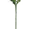 Finnmari Päivänkakkara oksa 60 cm