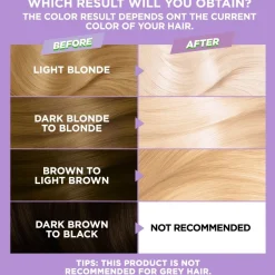 Garnier Nutrisse Ultra Bleach L4+ Extreme Blonding ultravoimakas vaalennus 1kpl