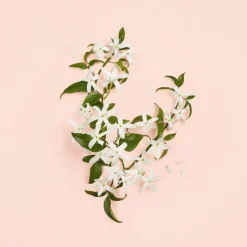 Gucci Bloom Ambrosia dOro Parfum 30 ml -tuoksu