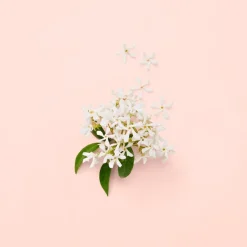 Gucci Bloom Eau de Parfum tuoksu 30 ml