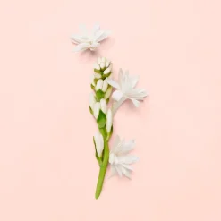 Gucci Bloom Eau de Parfum tuoksu 30 ml
