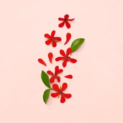 Gucci Bloom Eau de Parfum tuoksu 30 ml