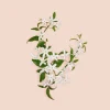 Gucci Bloom Parfum tuoksu 30 ml