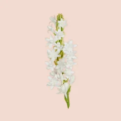 Gucci Bloom Parfum tuoksu 30 ml