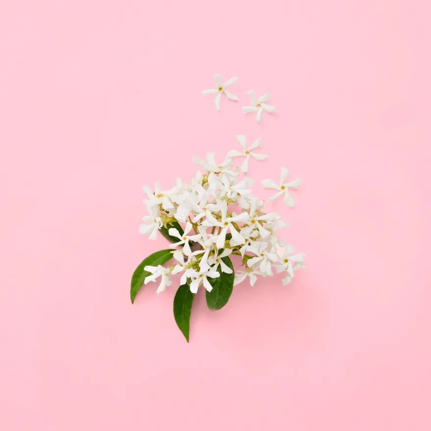 Gucci Flora Gorgeous Jasmin for Woman Eau de Parfum tuoksu 30 ml