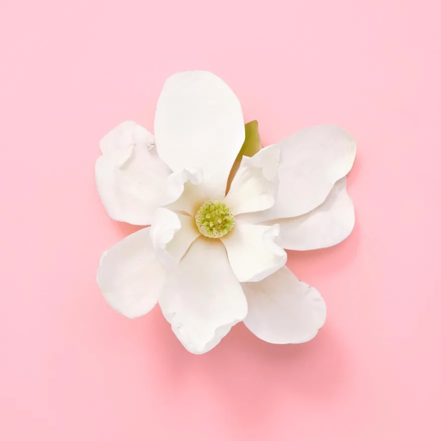 Gucci Flora Gorgeous Magnolia Eau de Parfum tuoksu 30 ml