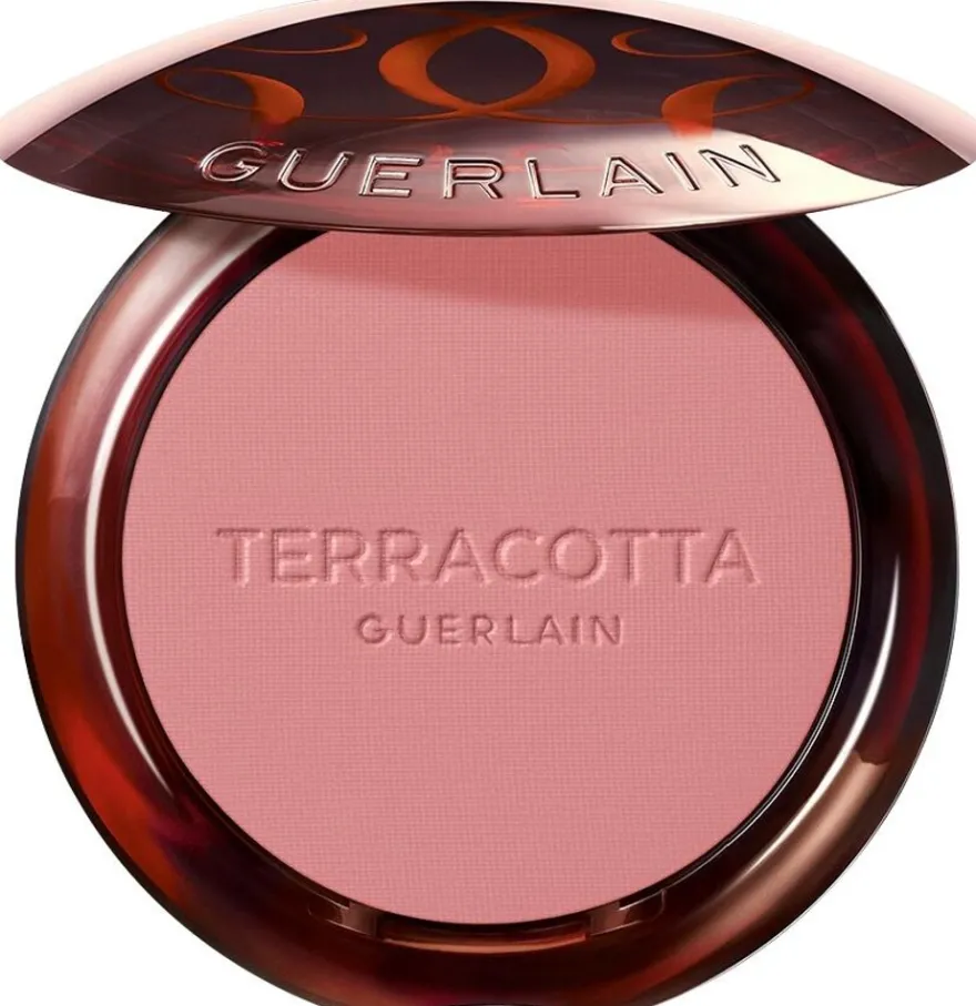 Guerlain Terracotta Blush 01 5 g