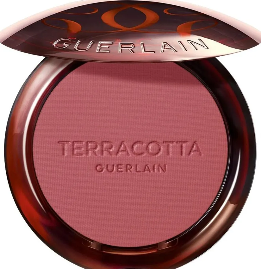 Guerlain Terracotta Blush 01 5 g
