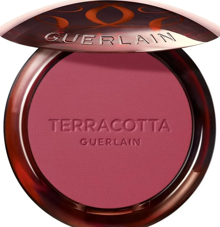Guerlain Terracotta Blush 01 5 g