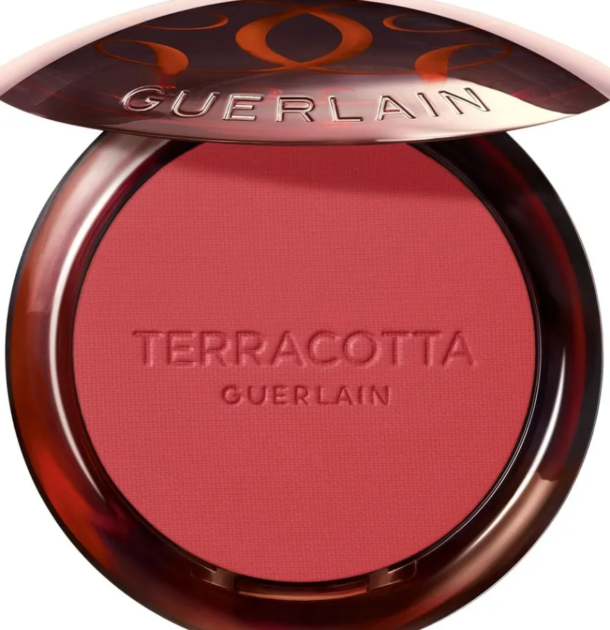 Guerlain Terracotta Blush 01 5 g