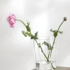 Iittala Aalto maljakko 220mm kirkas