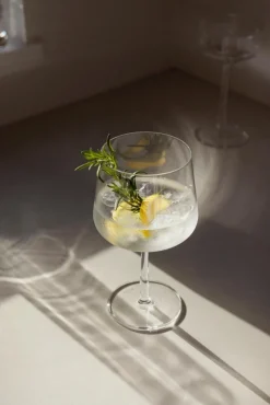 Iittala Essence cocktail lasi 63cl 2kpl