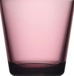 Iittala Kartio juomalasi 21cl kanerva 2kpl