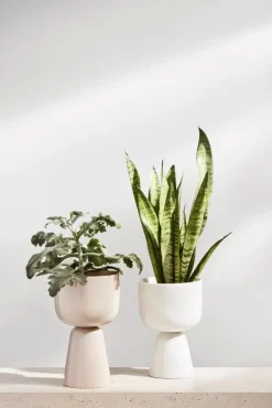 Iittala Nappula ruukku S 230x155mm valkoinen