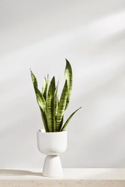 Iittala Nappula ruukku S 230x155mm valkoinen