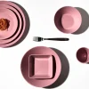 Iittala Teema ruusu lautanen 21cm
