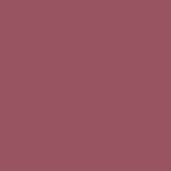 Isadora All-in-One Lipliner huultenrajauskynä 05 Dusty Rose 1,2 g
