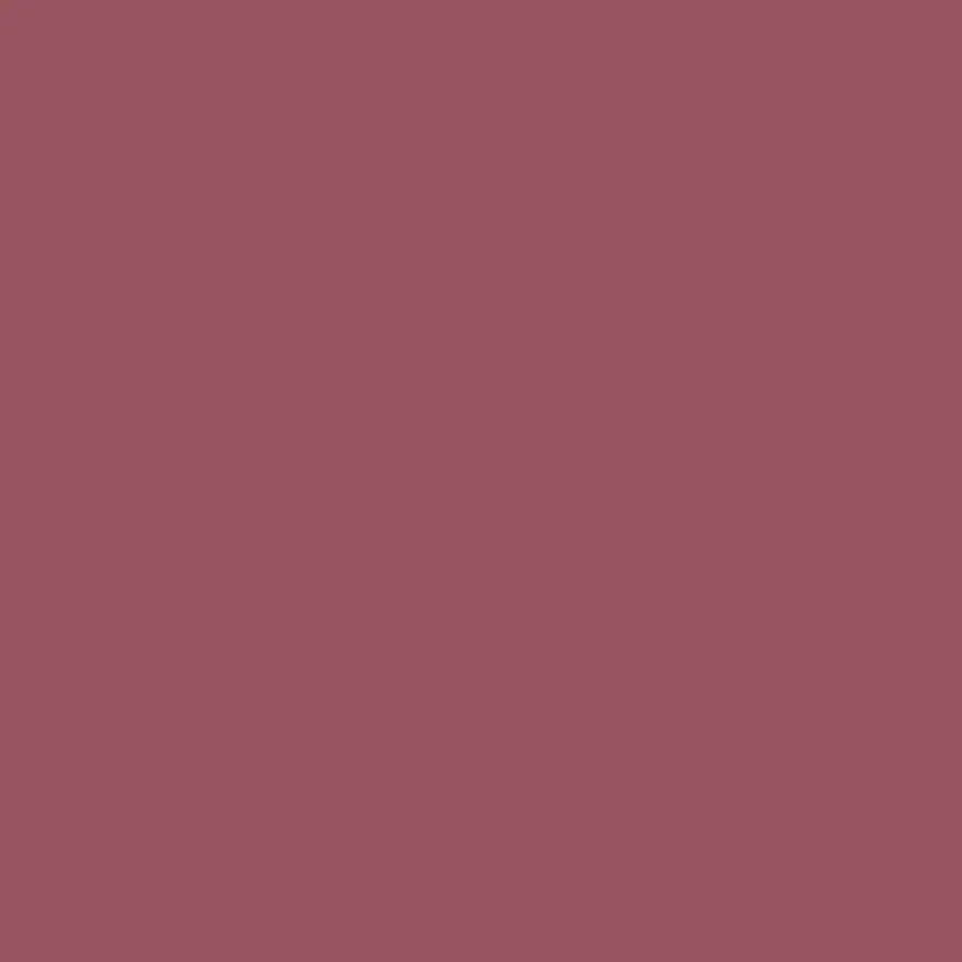 Isadora All-in-One Lipliner huultenrajauskynä 05 Dusty Rose 1,2 g