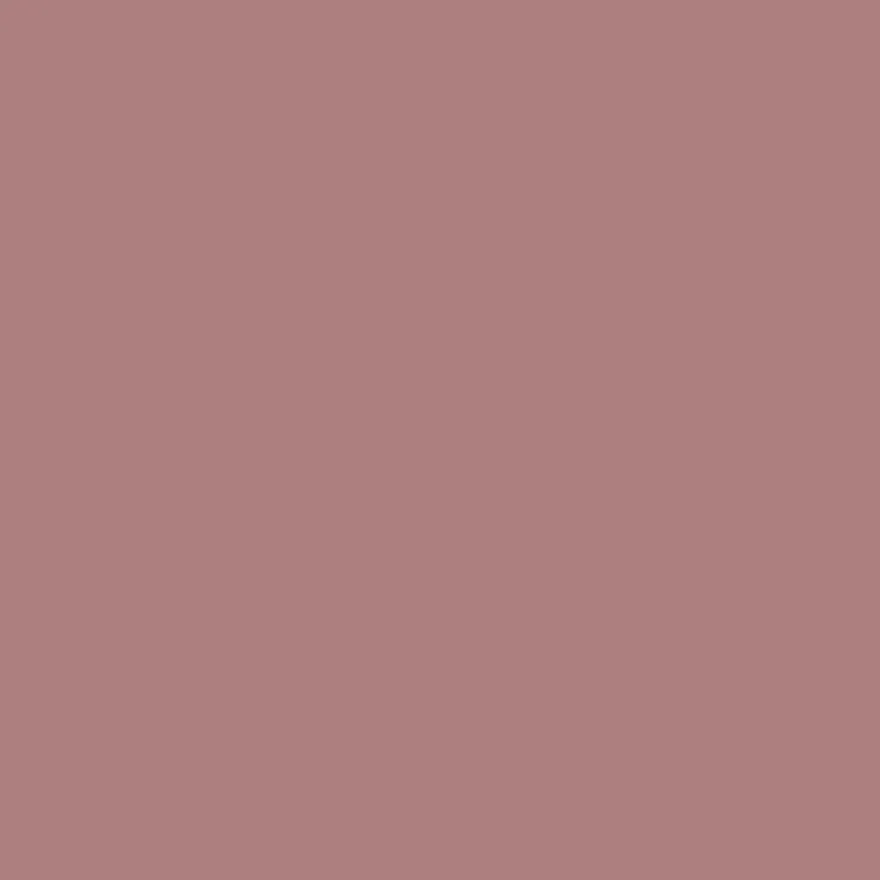 Isadora All-in-One Lipliner huultenrajauskynä 05 Dusty Rose 1,2 g