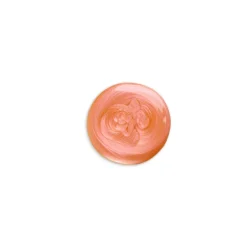 IsaDora The Wonder Nail Polish Quick dry & Longwear Kynsilakka 169 Fire Orange 5 ml