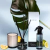 JOIK Home & SPA Diffuser Huonetuoksu White Tea & Neroli 100ml