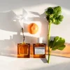 KORRES Avgoustos EdT tuoksu 50 ml